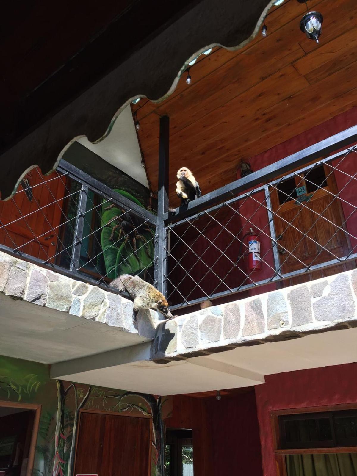 Manakin Lodge, الجبل الأخضر المظهر الخارجي الصورة